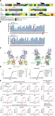 Preclinical characterization of a novel investigational monoclonal antibody CM313 with potent CD38-positive cell killing activity